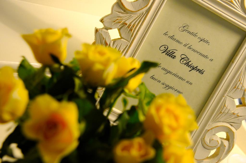 Hotel Villa Chiopris 4*